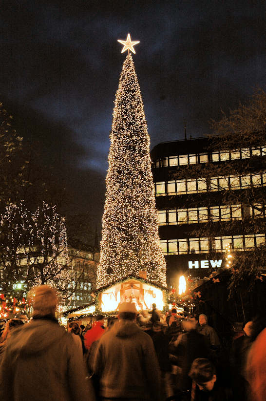 4999_0450 Beleuchteter Weihnachtsbaum - Tannenbaum mit Lichterketten, Hamburger Innenstadt. | Adventszeit  in Hamburg - Weihnachtsmarkt - VOL. 2